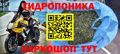 тгк Будённовск