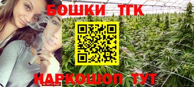 тгк Будённовск