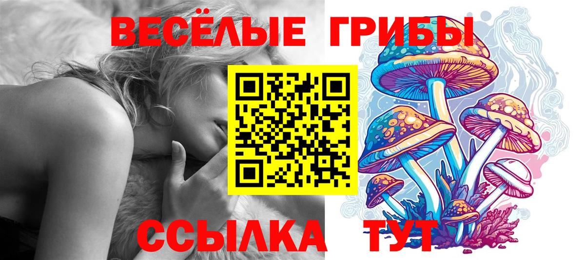 Псилоцибиновые грибы мухоморы Верхний Уфалей